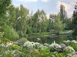 There are beautiful plants in the forest near the reservoir. Tall trees and beautiful flowers create a beautiful landscape. Everything is reflected from the surface of the water.
