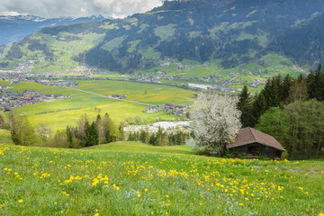 Obraz premium Blick ins frühlingshafte Zillertal in Tirol