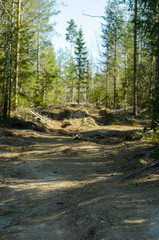 Forest path