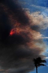 Naklejka premium fire in the sky