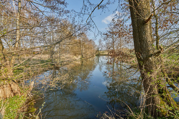 Pfarrweiher, Wasser, Fühling, Oberdietfurt, Massing, Landkreis Rottal-Inn, Niederbayern, Bayern, Deutschland