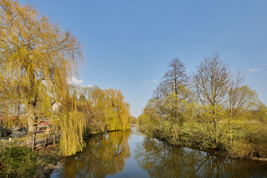 Rott, Wasser, F&uuml;hling, Oberdietfurt, Massing, Landkreis Rottal-Inn, Niederbayern, Bayern, Deutschland