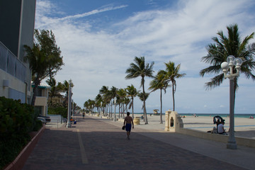 Hollywood Beach Miami. Playa grande, palmeras y un camino