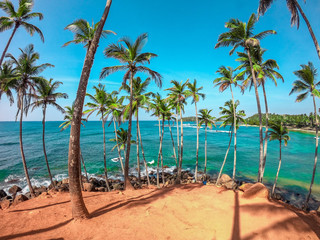 Coconut Tree Hill - Mirissa, Sri Lanka