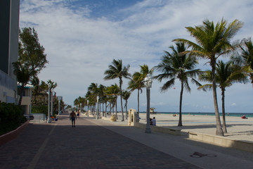 Fototapeta na wymiar Hollywood Beach Miami. Playa grande, palmeras y un camino