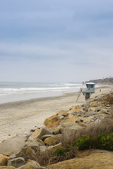 torrey pines california 