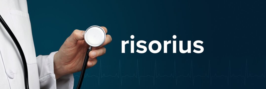 risorius. Arzt im Kittel h&auml;lt Stethoskop. Das Wort risorius steht daneben. Symbol f&uuml;r Medizin, Krankheit, Gesundheit