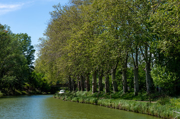 canal du midi in summer, France