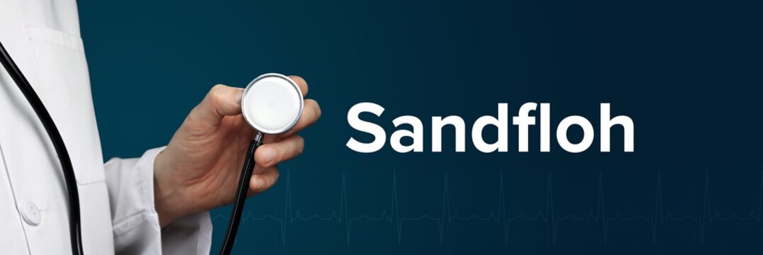 Sandfloh. Arzt im Kittel h&auml;lt Stethoskop. Das Wort Sandfloh steht daneben. Symbol f&uuml;r Medizin, Krankheit, Gesundheit