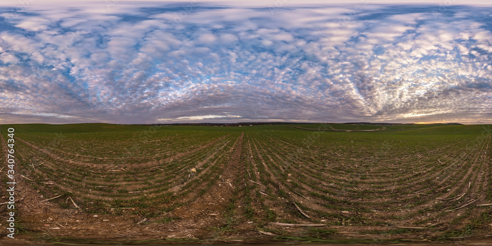 Wall mural full seamless spherical hdri panorama 360 degrees angle view on among fields in spring evening with 