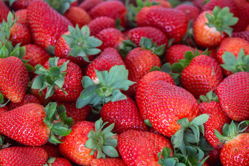 Fresh Strawberries fruits close up background, species Fragaria ananassa cultivated worldwide and a...