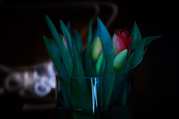 Naklejka premium Malowane światłem tulipany w szklanym flakonie na ciemnym delikatnie rozświetlonym tle