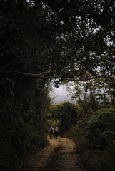 Caminata entre grandes amigos