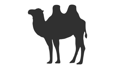 Camel silhouette isolated vector on white background.