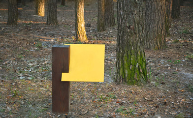 Sign post in pine forest. Nature background. Copy space for a text or drawing.