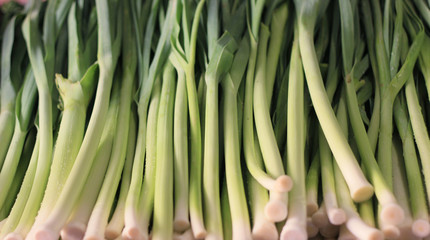 Obraz premium close up of carrot