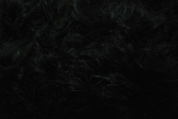 detailed photography of curly black hair