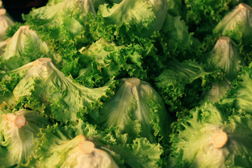 fresh vegetables on the market