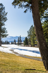 beautiful morning sunny light in park with field with grass and snow.