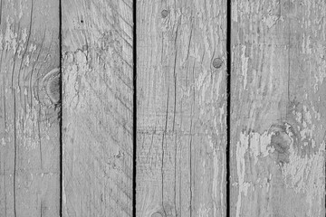 Naklejka premium An old wall of wooden boards as a background in black and white. Copy space.