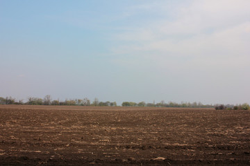 A plowed and sown black soil field in the evening. Spring landscape.
