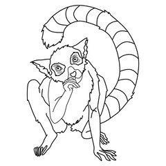 Black line lemur on white isolated backdrop. Curious mammal for invitation or gift card, color book, notebook sticker, bath tile. Phone case or cloth print art. Cartoon style stock vector illustration © Anna
