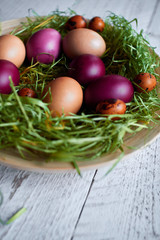 Easter colored eggs in a plate on a light wooden background