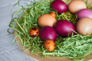 Easter colored eggs in a plate on a light wooden background