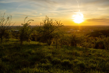 sunset in nature in no people