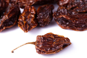 Habanero Chilli dry Mexican superhot pepper pod in white