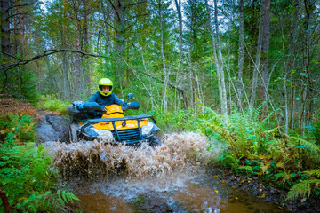 A man rushes on an ATV on a forest road. Yellow ATV drives throu