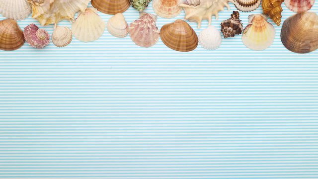 Seashells appear on top of blue summer background - Stop motion 