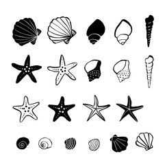 Pen drawing illustration shellfish and starfish