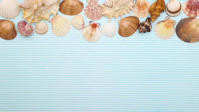 Seashells falling on blue background - Stop motion 