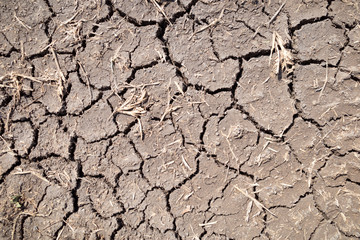 dry cracked earth texture