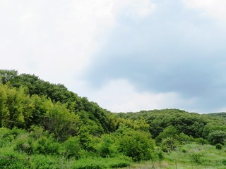 日本の田舎の風景　6月　初夏の山