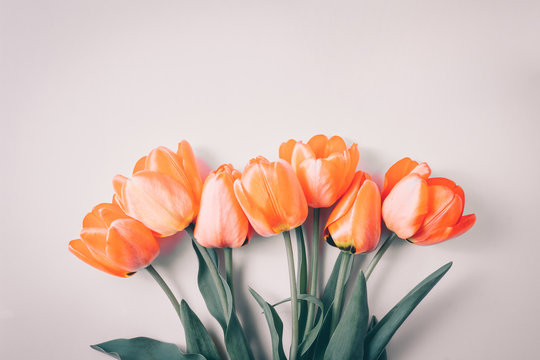 Orange Spring Tulip Flowers On Beige Background. Flat Lay. Greetings Card For Womens Or Mothers Day.