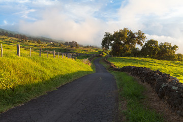 Maui, Thompson road sunset near Kula on the western slope of Haleakalā