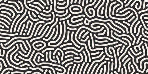 Vector seamless black and white organic rounded maze lines pattern. Abstract background in biological style