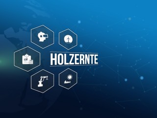 Holzernte