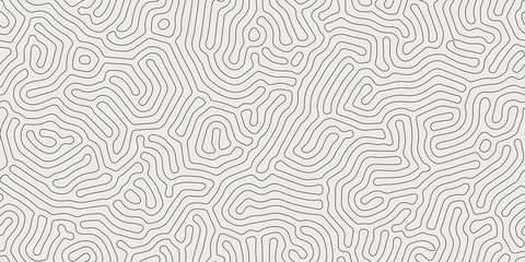 Vector seamless black and white organic rounded maze lines pattern. Abstract background in biological style