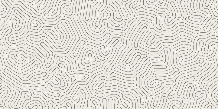 Vector Seamless Black And White Organic Rounded Maze Lines Pattern. Abstract Background In Biological Style