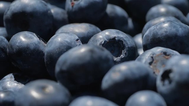Blueberries close-up dolly-in