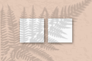 2 square sheets of white textured paper on the sand-colored wall. The mockup is covered with vegetable shadows. Natural light casts shadows from the tops of field plants and flowers. Flat lay,top view