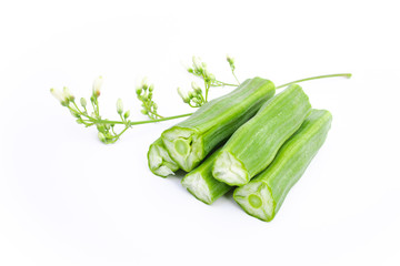 Moringa on white background. Moringa oleifera from nature for health. Fever meds to prevent cancer. Lower blood pressure.