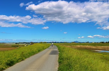 春の渡良瀬　道　爽やか　風景　杤木