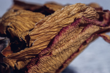 dry rose over a red background and some details