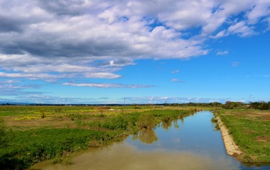 春　渡良瀬　川　風景　杤木