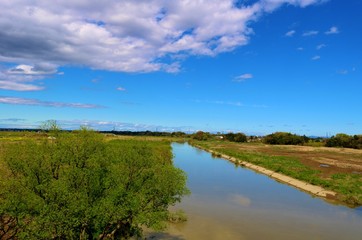 春　渡良瀬　川　風景　杤木