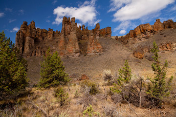 Fototapeta na wymiar Palisades rock formations at John Day Fossil Beds National Monument in Oregon 